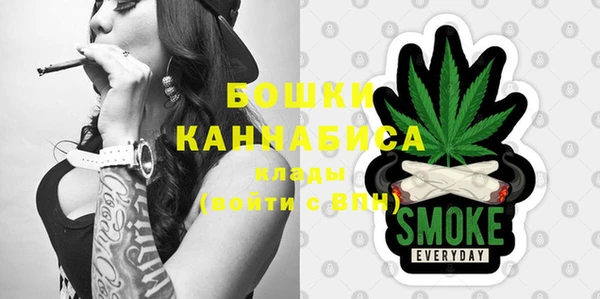 метадон Няндома