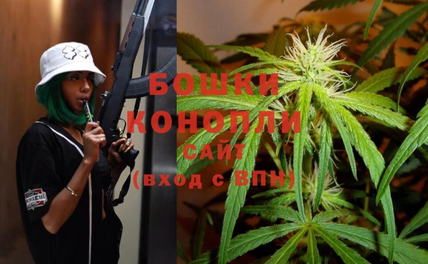 ПСИЛОЦИБИНОВЫЕ ГРИБЫ Осинники