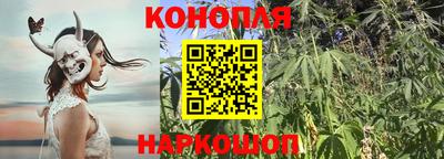 ECSTASY Кингисепп