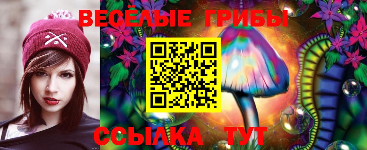 купить   Вход с VPN  Галлюциногенные грибы прущие грибы  Мыски  Псилоцибиновые грибы GOLDEN TEACHER 